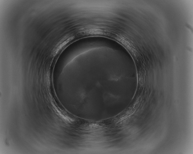 X0000097590390200802291224