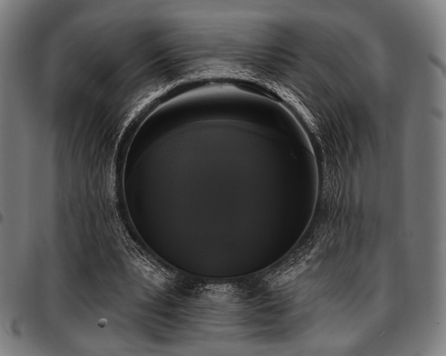 X0000097590391200802291224