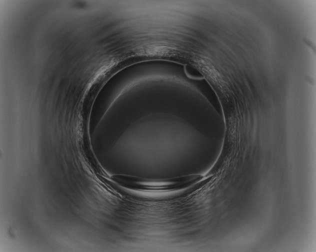 X0000097590392200802291224