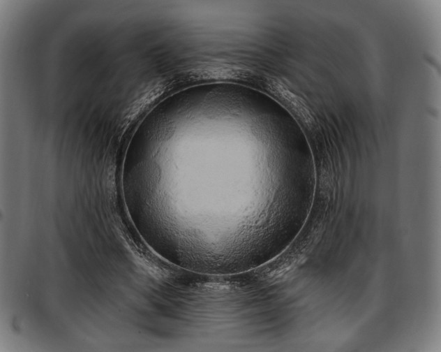 X0000097590394200802291224