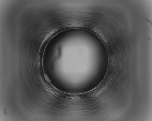 X0000097590395200802291224