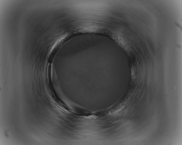 X0000097590396200802291224