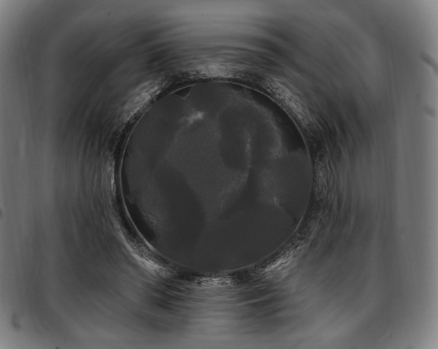 X0000097590398200802291224