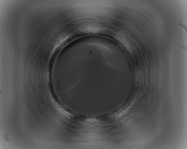 X0000097590399200802291224