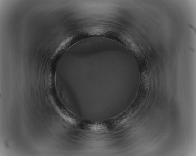 X0000097590400200802291224
