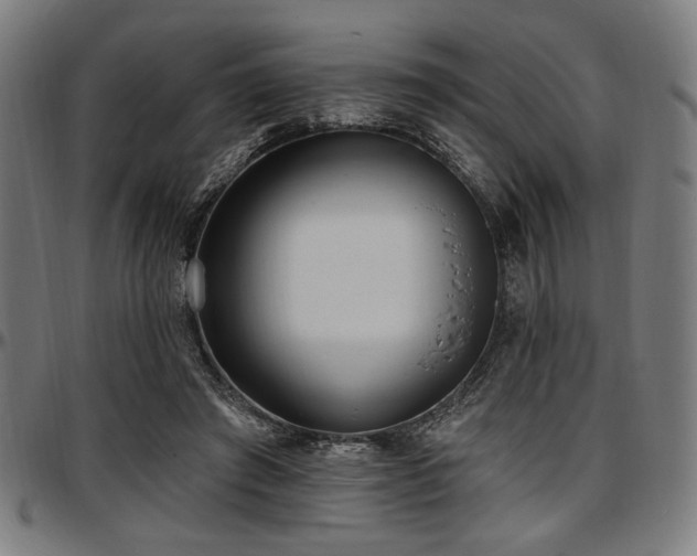 X0000097590401200802291224