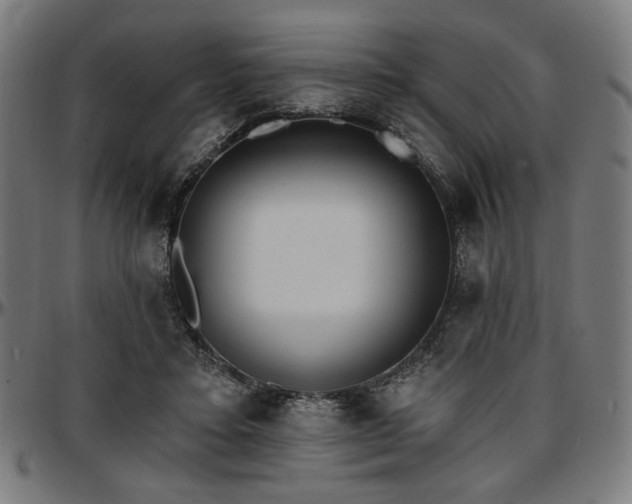 X0000097590403200802291224
