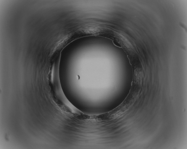 X0000097590404200802291224
