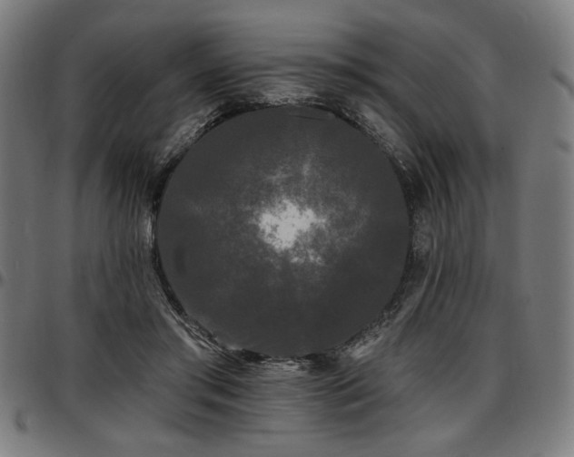 X0000097590405200802291224
