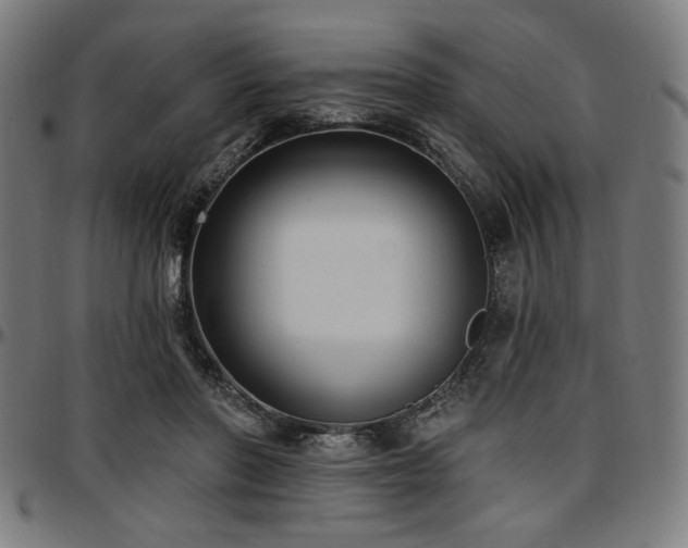 X0000097590406200802291224
