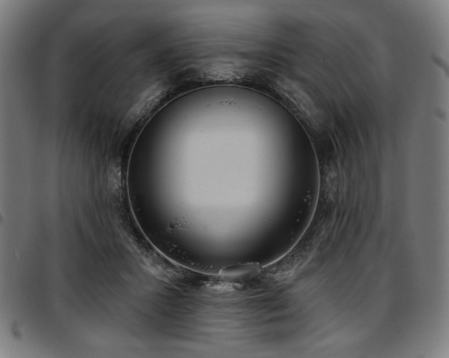 X0000097590407200802291224