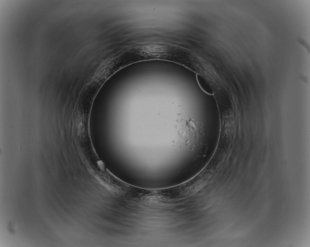X0000097590408200802291224