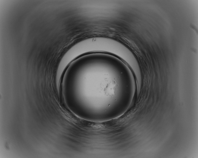 X0000097590409200802291224