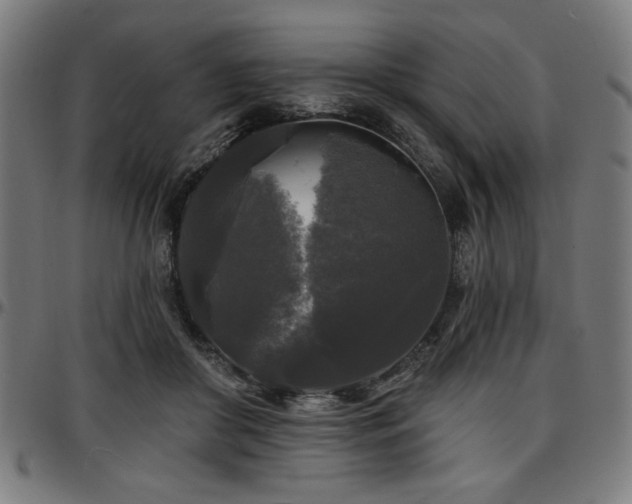 X0000097590410200802291224