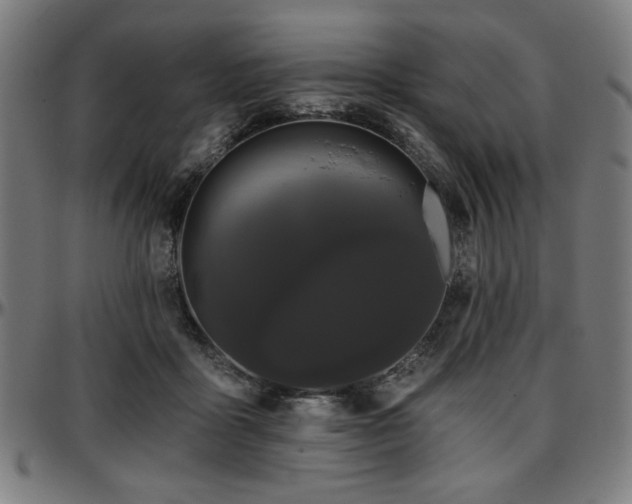 X0000097590411200802291224