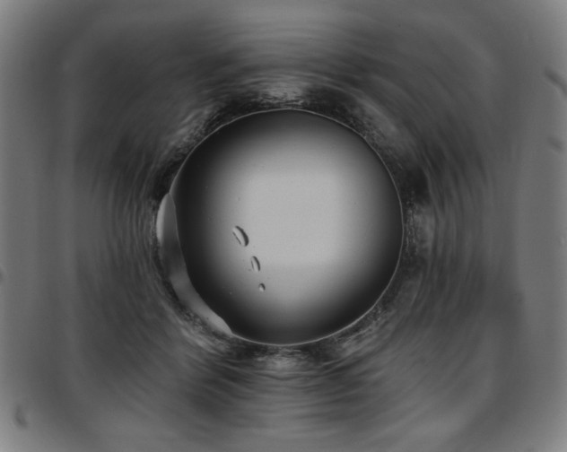 X0000097590412200802291224