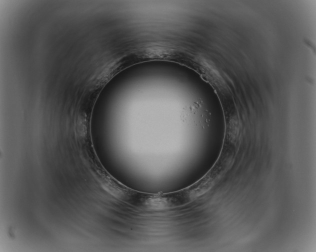 X0000097590413200802291224