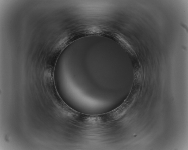 X0000097590415200802291224
