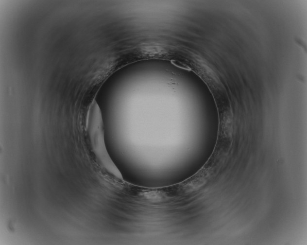 X0000097590417200802291224