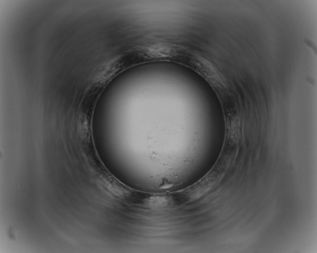 X0000097590418200802291224
