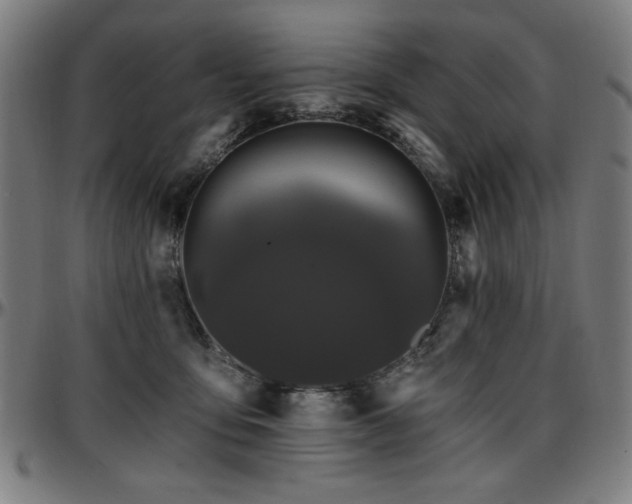 X0000097590419200802291224