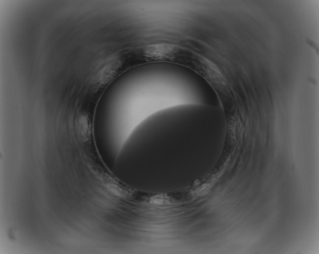 X0000097590420200802291224