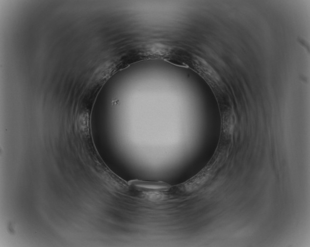 X0000097590425200802291224