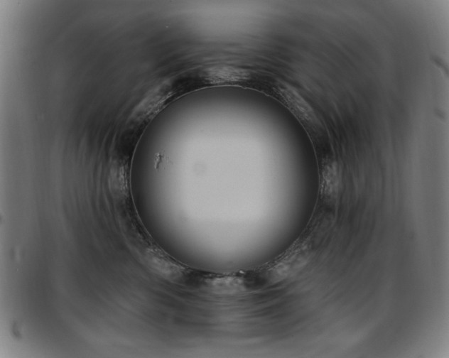 X0000097590426200802291223