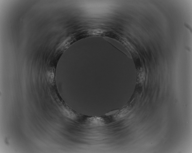 X0000097590427200802291223