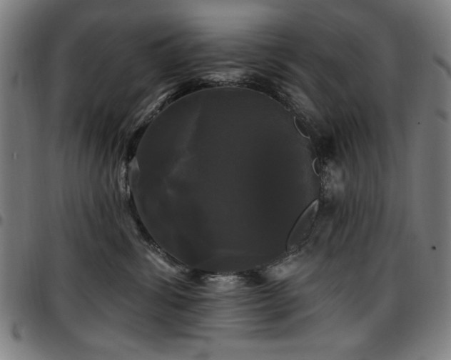 X0000097590428200802291223