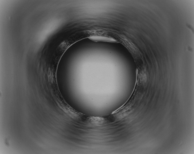 X0000097590429200802291223