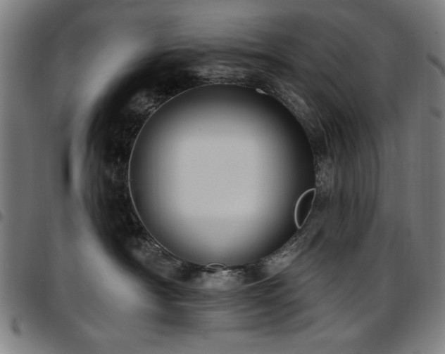 X0000097590430200802291223