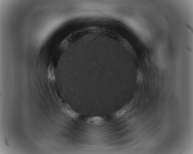 X0000097590431200802291223