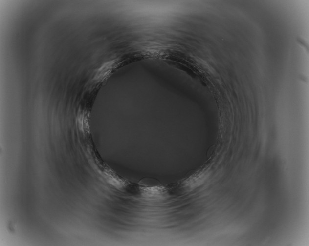 X0000097590432200802291223