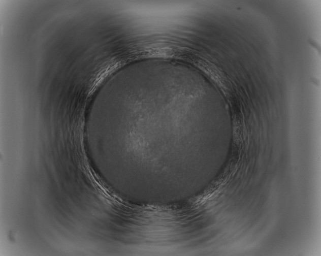 X0000097590434200802291223