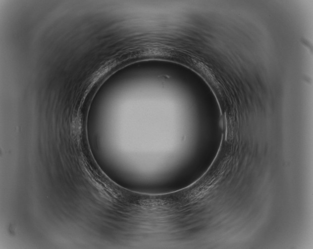 X0000097590435200802291223