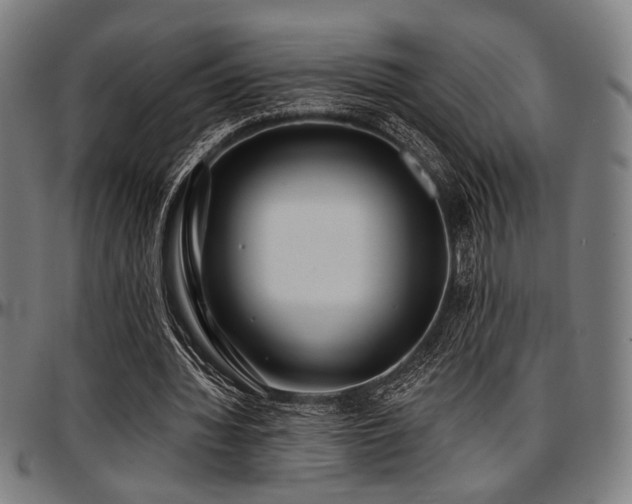 X0000097590436200802291223