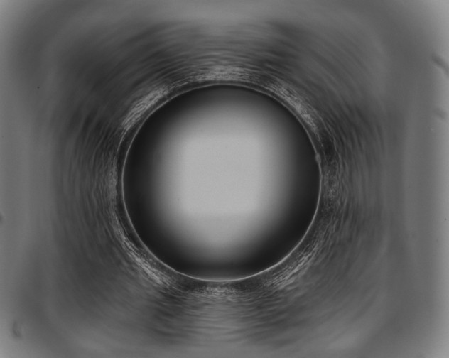 X0000097590437200802291223