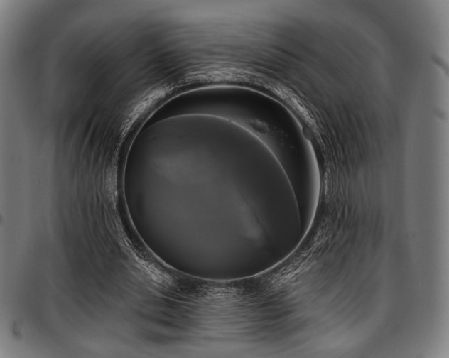 X0000097590438200802291223