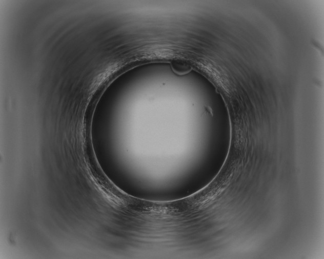 X0000097590439200802291223