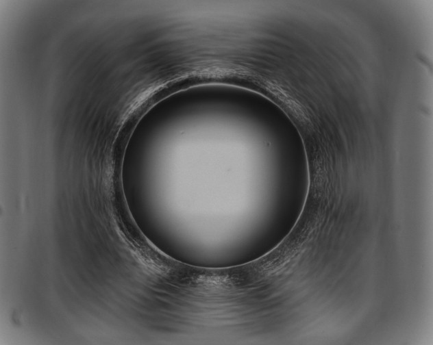 X0000097590440200802291223