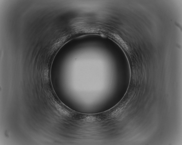 X0000097590441200802291223
