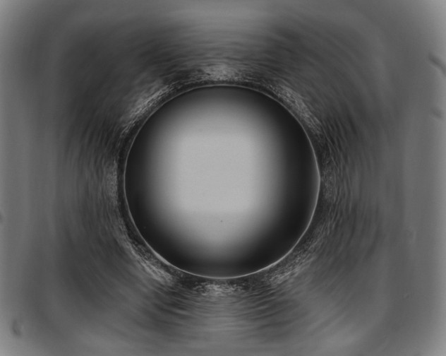 X0000097590442200802291223