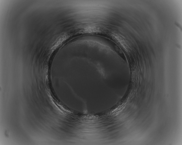 X0000097590443200802291223