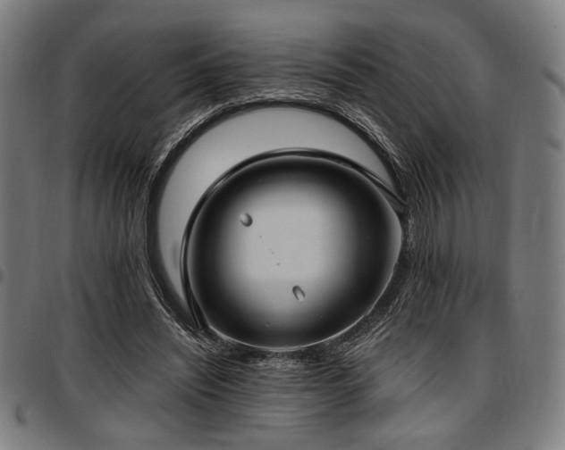 X0000097590444200802291223