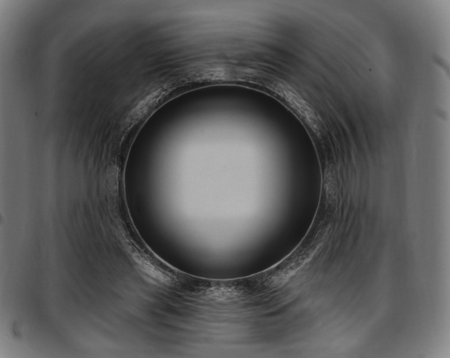 X0000097590445200802291223