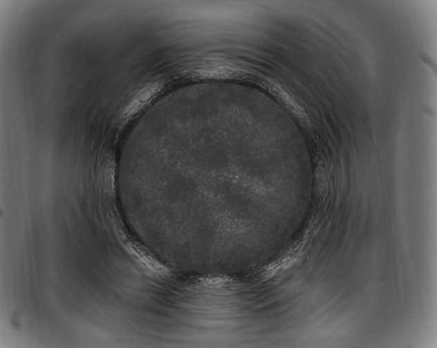 X0000097590446200802291223