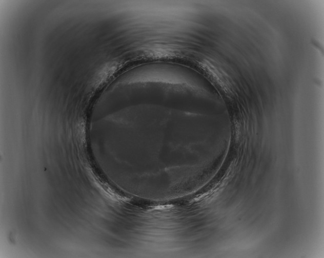X0000097590447200802291223