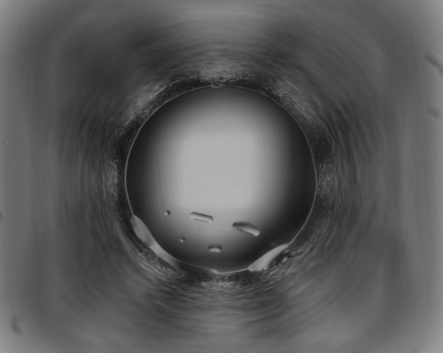 X0000097590448200802291223