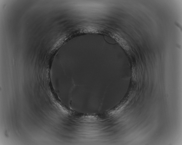 X0000097590449200802291223